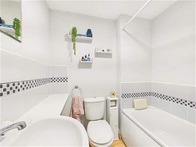 Picture 12